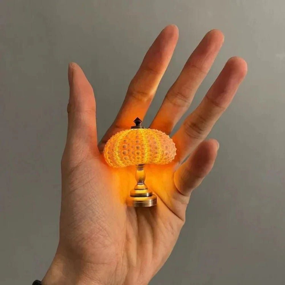 DIY Sea Urchin Tischlampe - Craft Your Own Coastal Glow Nachtlicht