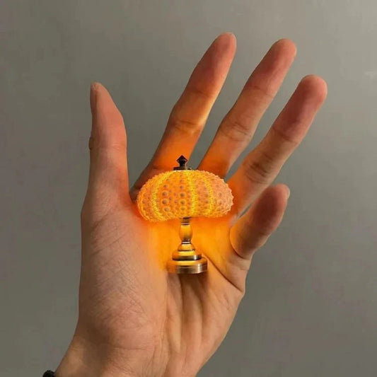 DIY Sea Urchin Tischlampe - Craft Your Own Coastal Glow Nachtlicht