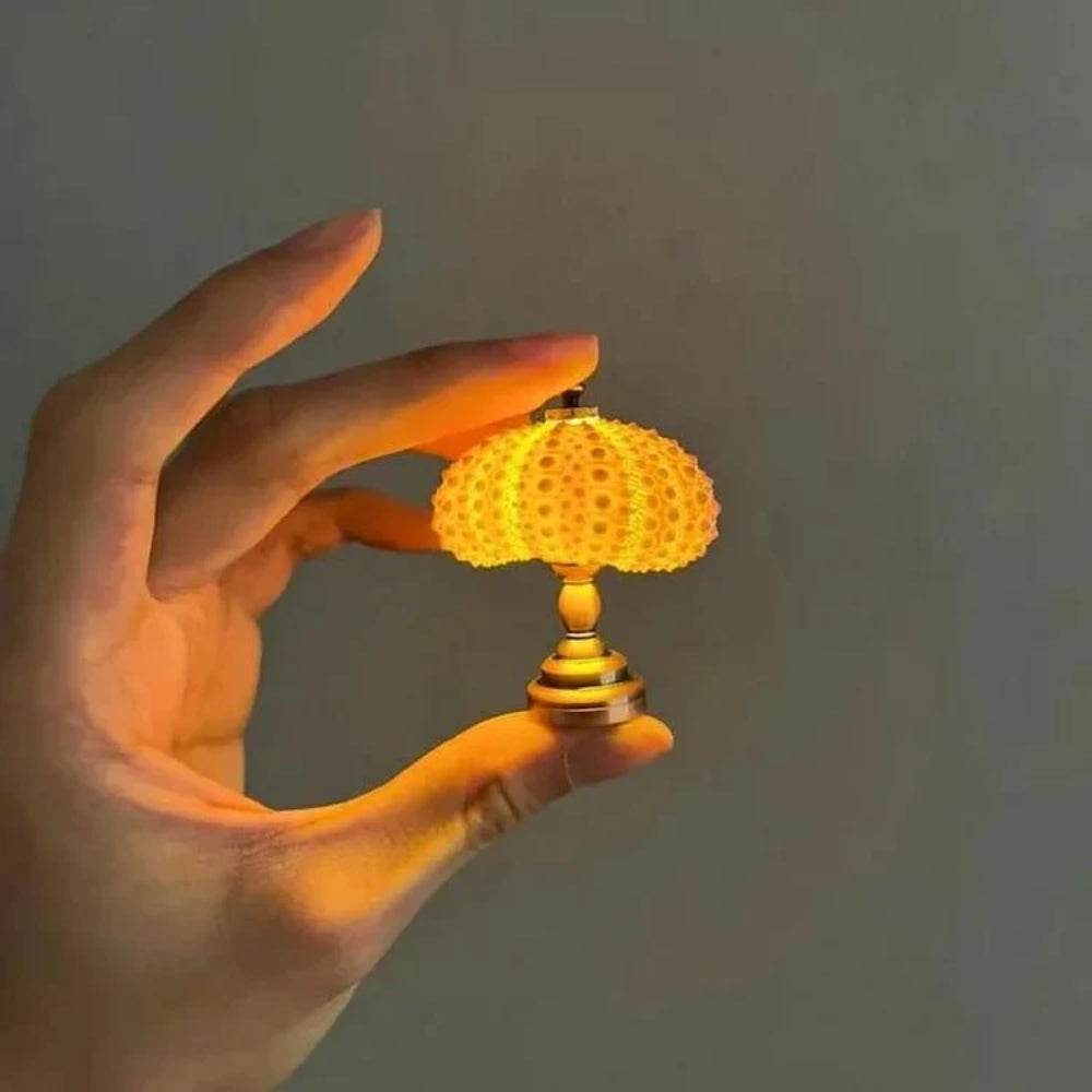 DIY Sea Urchin Tischlampe - Craft Your Own Coastal Glow Nachtlicht