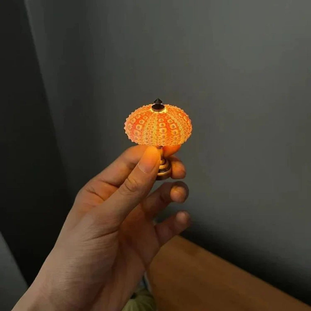 DIY Sea Urchin Tischlampe - Craft Your Own Coastal Glow Nachtlicht
