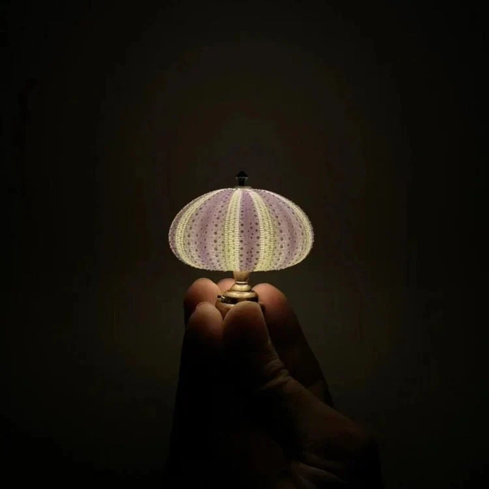 DIY Sea Urchin Tischlampe - Craft Your Own Coastal Glow Nachtlicht