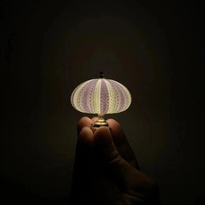 DIY Sea Urchin Tischlampe - Craft Your Own Coastal Glow Nachtlicht