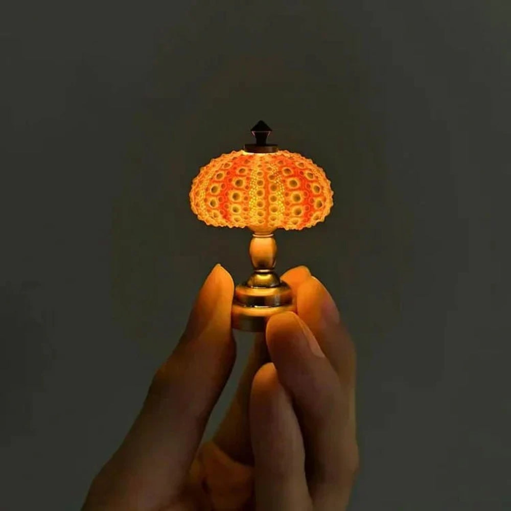 DIY Sea Urchin Tischlampe - Craft Your Own Coastal Glow Nachtlicht