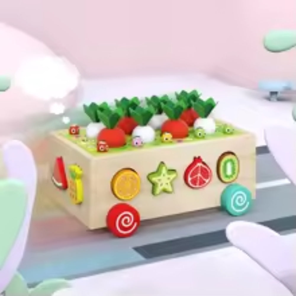 Magnetisch Gartenform-Sortierer – Interaktives Sortierspielzeug für Kinder