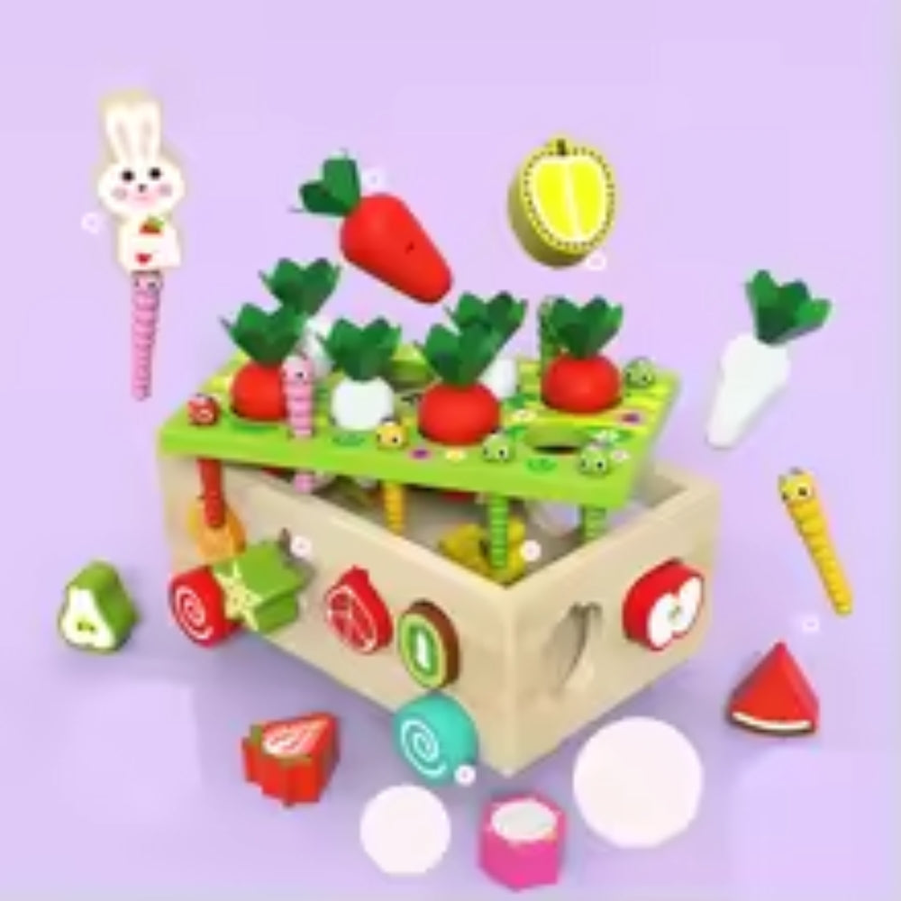 Magnetisch Gartenform-Sortierer – Interaktives Sortierspielzeug für Kinder