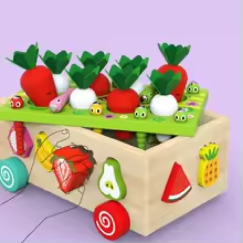 Magnetisch Gartenform-Sortierer – Interaktives Sortierspielzeug für Kinder