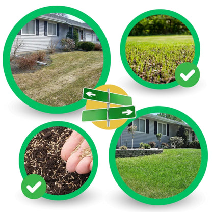 Gras-Saatgutmatte - Ganzjährige Rasenregeneration mit schneller Keimung