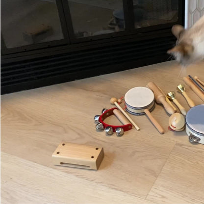 Hölzernes Musikset - 10-teiliges Rhythmusinstrumente-Spielzeug für Kinder