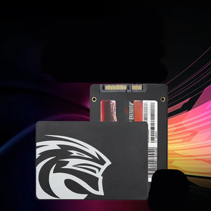 Internes Hochgeschwindigkeits-Solid-State-Laufwerk - SATA III SSD