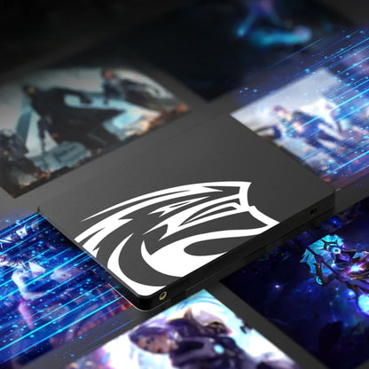 Internes Hochgeschwindigkeits-Solid-State-Laufwerk - SATA III SSD