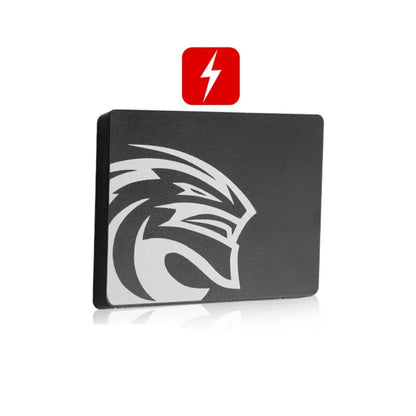 Internes Hochgeschwindigkeits-Solid-State-Laufwerk - SATA III SSD