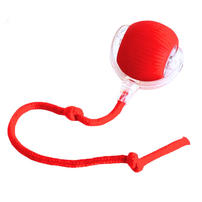 Katzenballspielzeug - wiederaufladbar mit intelligenten Hindernissensoren für Katzen