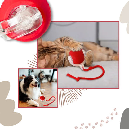 Katzenballspielzeug - wiederaufladbar mit intelligenten Hindernissensoren für Katzen