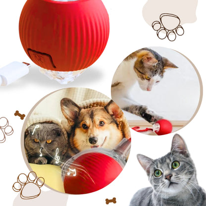 Katzenballspielzeug - wiederaufladbar mit intelligenten Hindernissensoren für Katzen