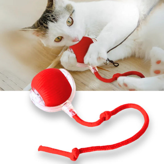 Katzenballspielzeug - wiederaufladbar mit intelligenten Hindernissensoren für Katzen