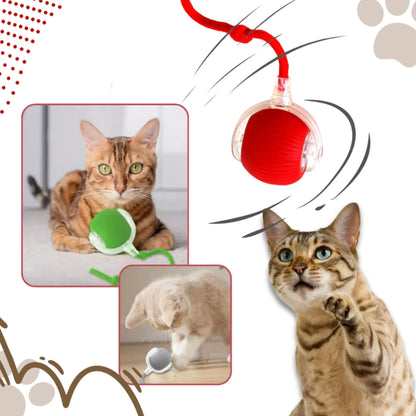 Katzenballspielzeug - wiederaufladbar mit intelligenten Hindernissensoren für Katzen
