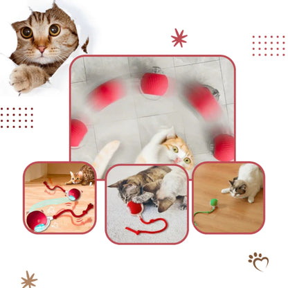 Katzenballspielzeug - wiederaufladbar mit intelligenten Hindernissensoren für Katzen