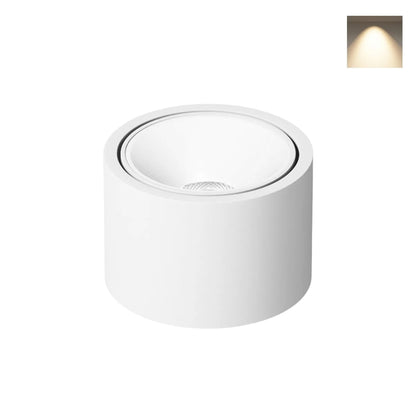 LED-Deckenleuchte mit Verstellbarem Winkel – Runde Aufputzbeleuchtung