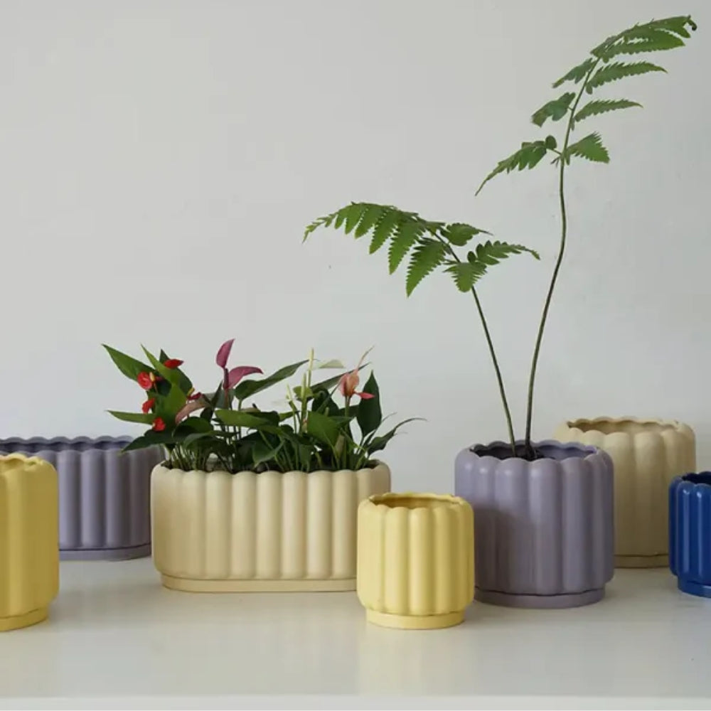 Moderner Blumentopf - Pflegeleichtes Design für müheloses Pflanzenstyling