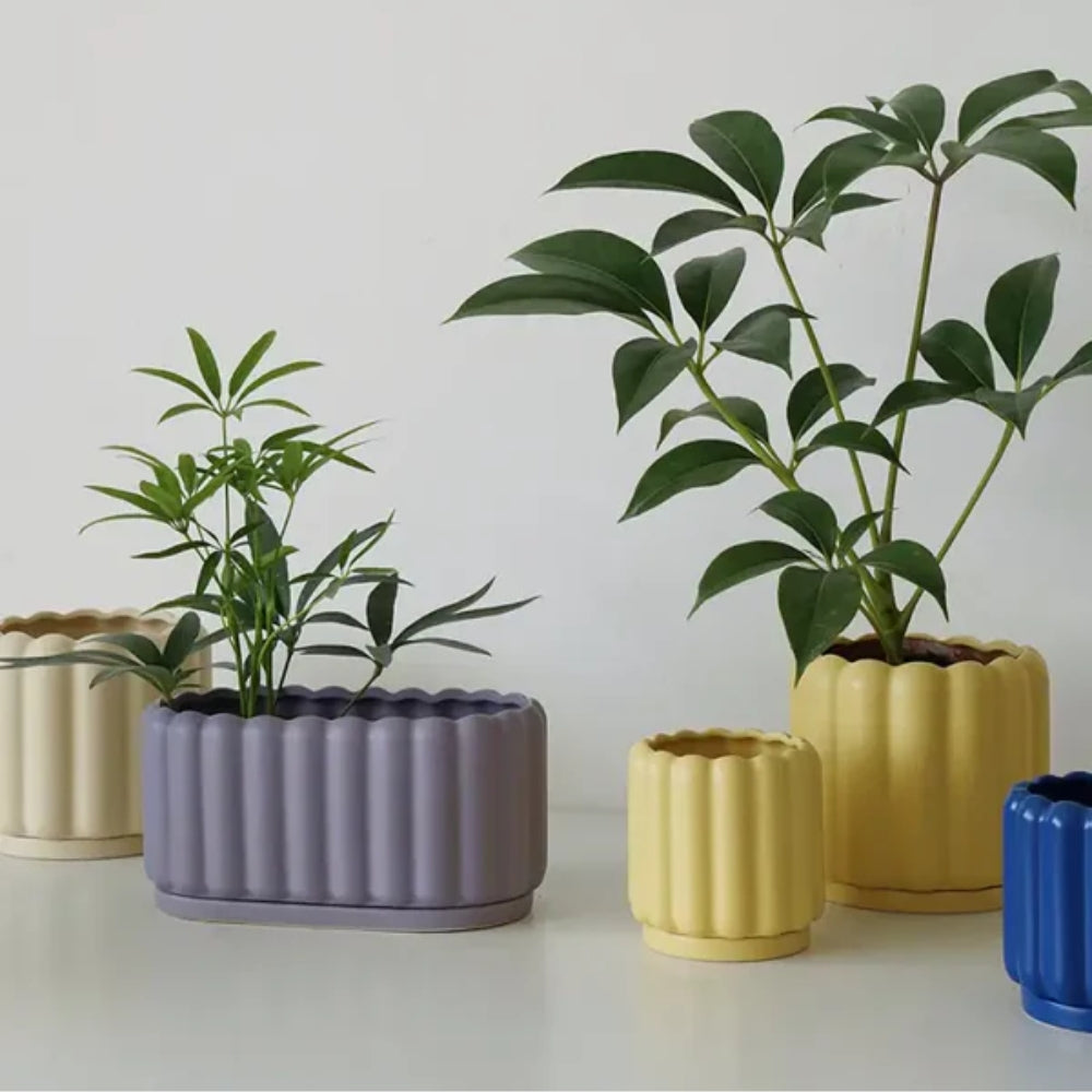 Moderner Blumentopf - Pflegeleichtes Design für müheloses Pflanzenstyling