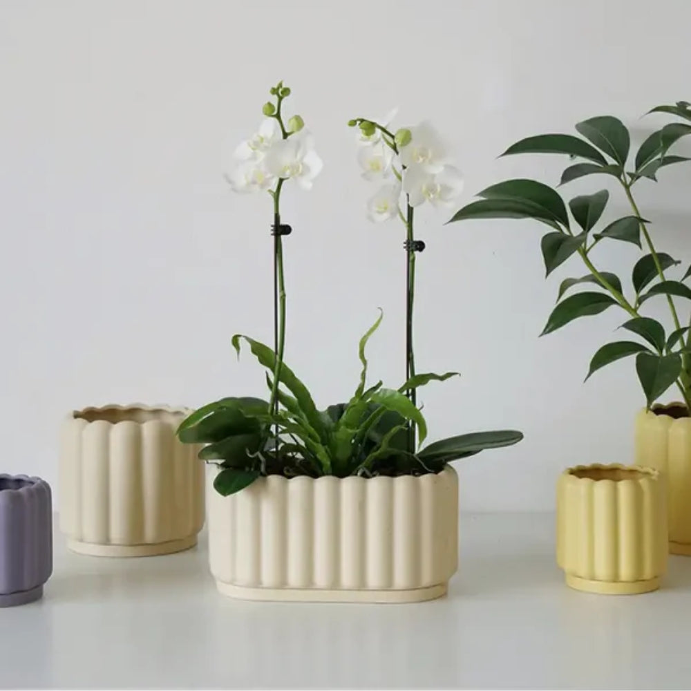 Moderner Blumentopf - Pflegeleichtes Design für müheloses Pflanzenstyling
