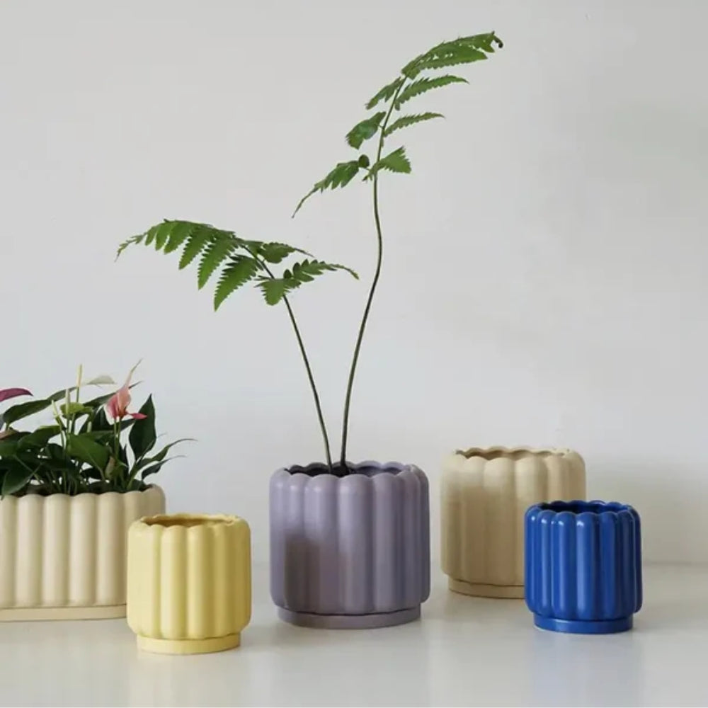 Moderner Blumentopf - Pflegeleichtes Design für müheloses Pflanzenstyling