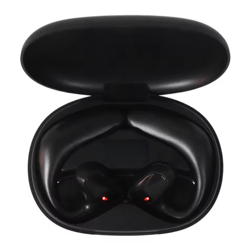 Sprachübersetzer Ohrstöpsel - Zwei-Wege-Übersetzung in Echtzeit in 144 Sprachen