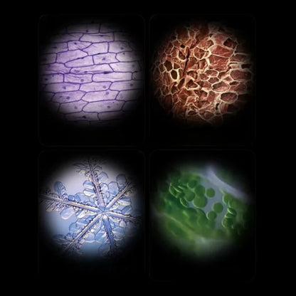 Tragbares Kinder-Mikroskop – Interaktives STEM-Entdeckungswerkzeug für Kinder