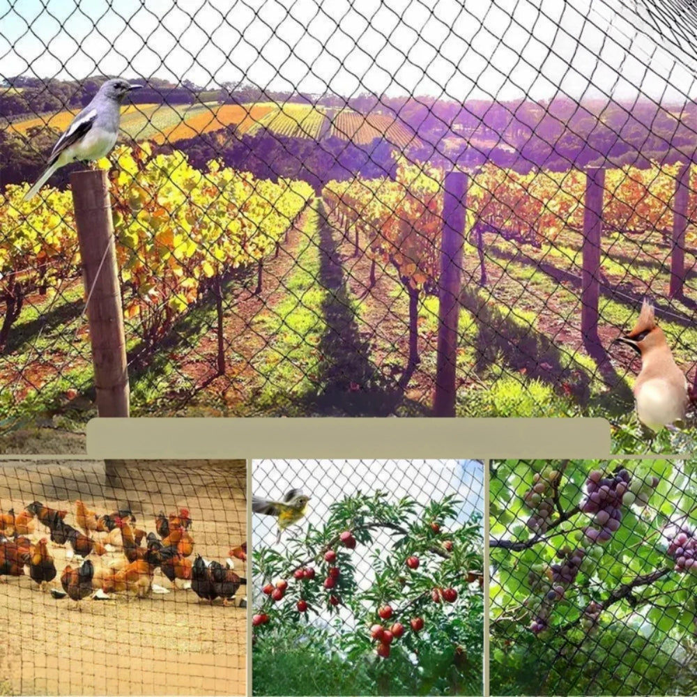 UV-beständiges und reißfestes Gartennetz - Allzweckschutz