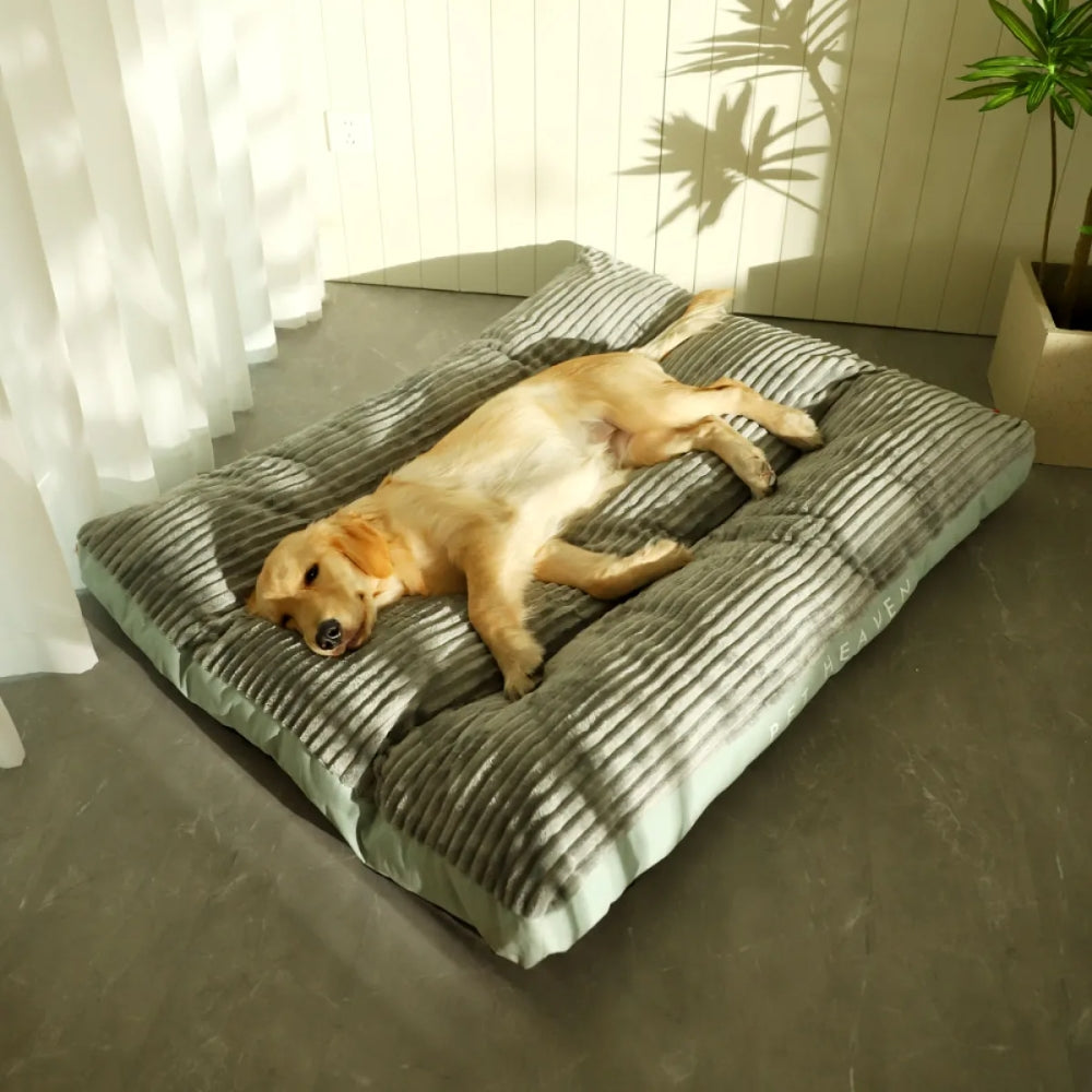 Waschbares Hundebett – Rutschfest mit Abnehmbarem Bezug