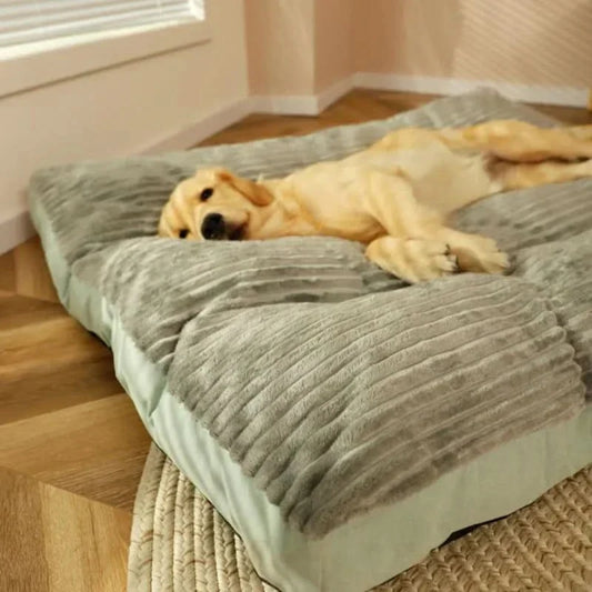 Waschbares Hundebett – Rutschfest mit Abnehmbarem Bezug