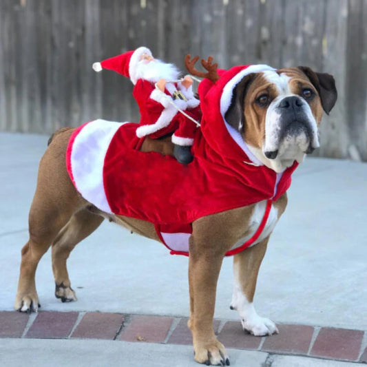 Winter Weihnachts Hundeoutfit – Feiertagsdekoration für Hunde